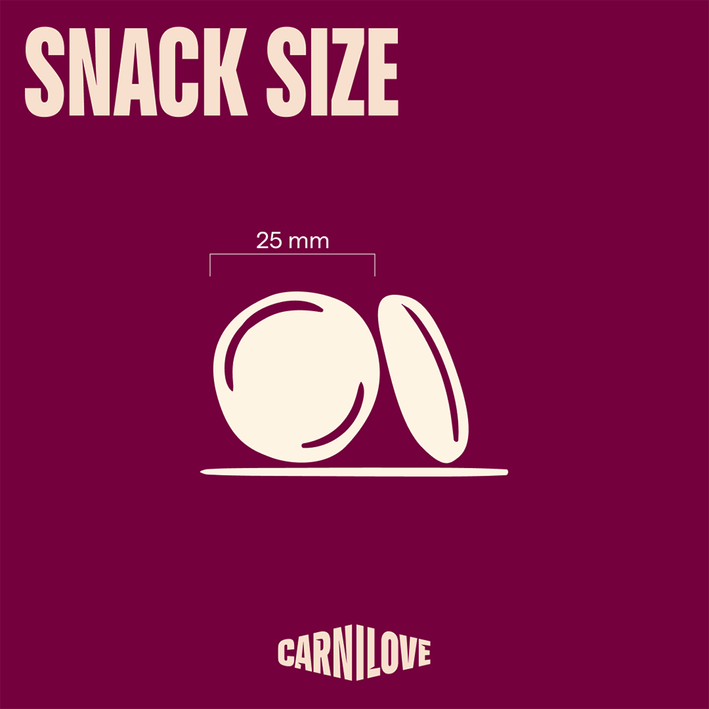 Carnilove Freeze-Dried Raw Snacks Lamb 60g